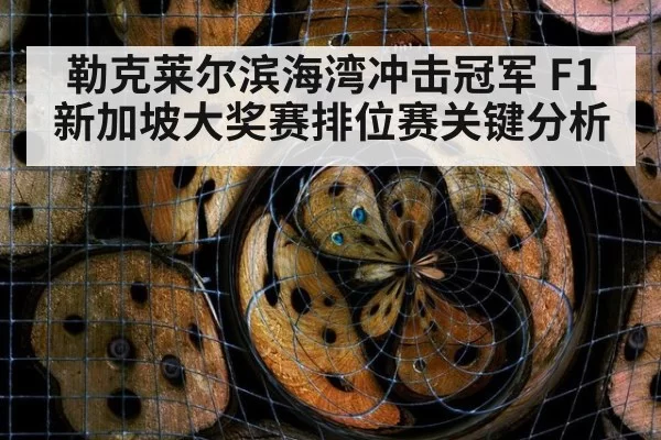 勒克莱尔滨海湾冲击冠军 F1新加坡大奖赛排位赛关键分析
